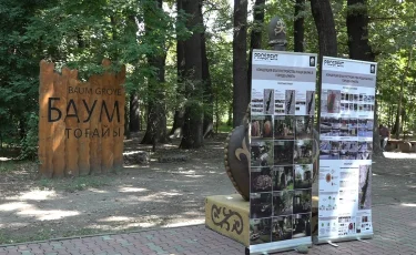 Совсем скоро преобразится один из главных природных символов города – роща Баума