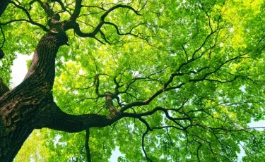 Веткой в бедро и живот: мужчина упал с крыши на дерево