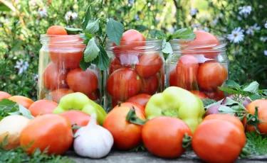 Какие консервации сделать на зиму: советы дачникам