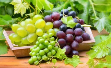 Вкусный и доступный: сколько стоит виноград в Казахстане