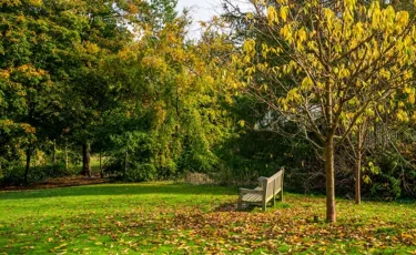 Күзде қандай аурулар жиі асқынады