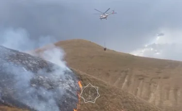 Алматы облысында тұтанған дала өртін сөндіруге тікұшақ тартылды