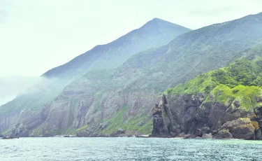 Сейсмологи зарегистрировали землетрясение у Курильских островов