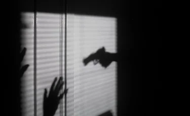 Жамбыл облысында бозбала абайсызда досына оқ атып жіберді