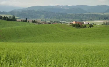 Жамбыл облысында мемлекет меншігіне 5 мың гектарға жуық жер қайтарылды