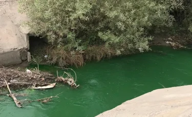 В Алматы ищут виновных в загрязнении реки Каргалы