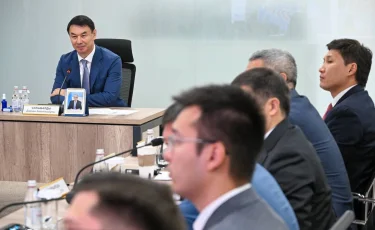 Алматыда қаланы абаттандыру мен көгалдандырудың жүйелі тәсілі енгізілуде