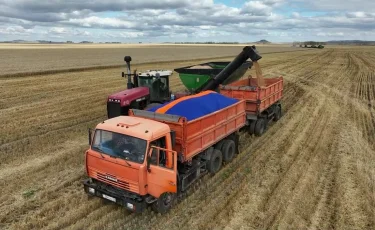 Қолайсыз ауа райы астық сапасына қауіп төндіруі мүмкін: диқандар дабыл қақты