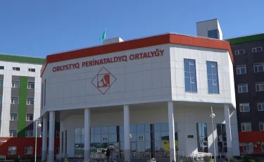 Цена материнства: актюбинка родила близняшек и повредила здоровье