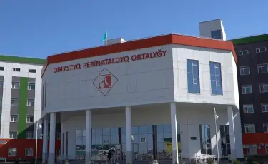 Цена материнства: актюбинка родила близняшек и повредила здоровье