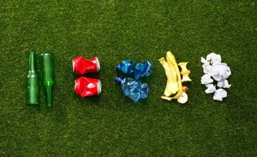 От локальной уборки - к мировому движению: 20 сентября - Всемирный день чистоты