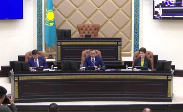 Жаңа Парламентте заңдардың сапасын қадағалау үшін бір тетік болуы керек - Мәулен Әшімбаев