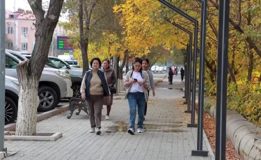 Ауырмаудың жолын іздеңіз: иммунитетті қалай күшейтуге болады