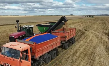 В зоне урожайного риска: казахстанские аграрии могут столкнуться с проблемами из-за погоды