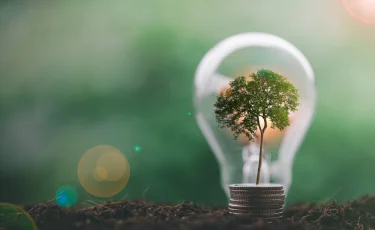 Зеленая энергетика: шаг к устойчивому развитию и чистому будущему