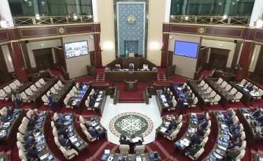 Ерлан Қошанов Президенттің бір палаталы Парламент идеясын қолдауға шақырды