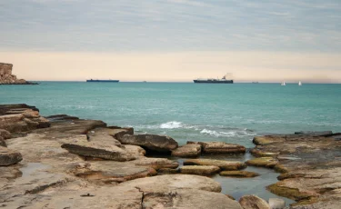 Каспийское море и экология: общая ответственность стран региона