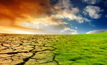 Климат и здоровье: скрытые угрозы глобального потепления