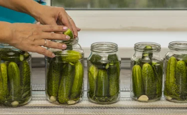 Маринованные, квашеные или соленые — какие огурцы полезнее?
