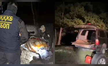 В Актюбинской области полиция поймала скотокрадов прямо за "работой"