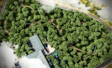 Алматыда жаңа қоғамдық кеңістік пайда болады