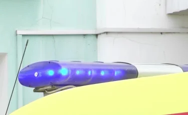 После нападения на женщину: костанайский суд наказал владельца собаки