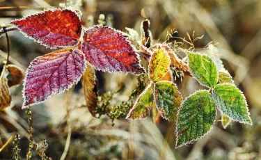 Прогноз погоды на 3 сентября: ночью в Казахстане ожидаются заморозки