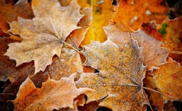 Как сэкономить на коммунальных услугах этой осенью