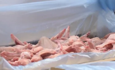 Қазақстанда құс етіне импорттық тәуелділік азайды