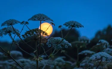 Үсік жүреді: 17 қыркүйекте ауа райы қандай болады