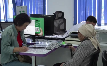 Проверка на «чистоту»: заработало мобильное приложение, знающее всё о казахстанских авто