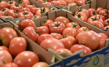 Алматыда ауыл шаруашылығы жәрмеңкесі өтеді