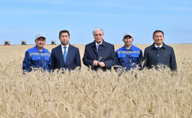 Мемлекет басшысы Ақмола облысындағы егін жинау науқанымен танысты