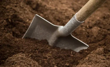 Необычные соревнования в Венгрии: рыть могилы на скорость