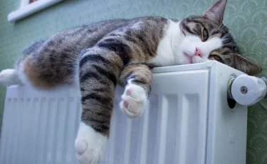 Қазақстанда күн суытады