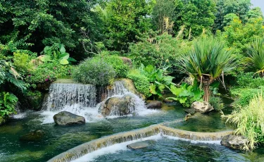 Город будущего под ногами: как Гуанчжоу превратил очистные сооружения в парк