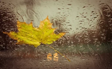 Жаңбыр жауып, жел соғады: 12 қыркүйекте ауа райы қандай болады