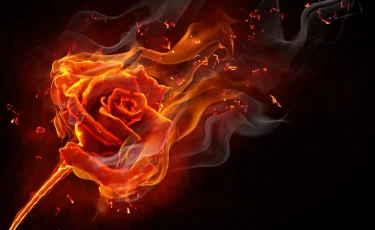 "Высокие" отношения: родственники умершего жениха сожгли его невесту