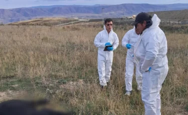 Загадочная гибель животных: в ВКО вспыхнул экологический скандал