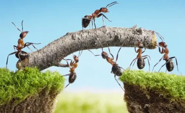 28 сентября - День труда в Казахстане