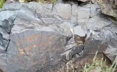 Учёные просят о помощи: древние символы могут исчезнуть