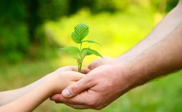 В Казахстане внедрят единый стандарт экологического просвещения