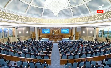 Активтерді қайтару жөніндегі комитет енді инвесторлар құқығын қорғау комитеті деп аталады — Жолдау