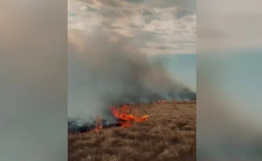 Степной пожар: в Костанайской области горит сухая трава