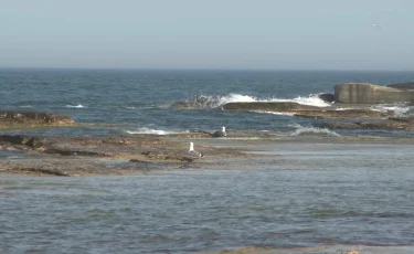Каспий теңізі тартылып жатыр - ғалымдар болжамы