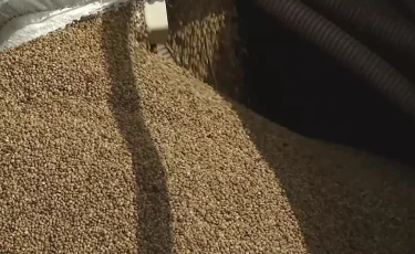 Қазақстанның агроөнімдері қай елдерге экспортталады