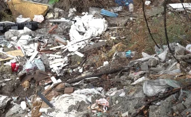 Не продохнуть: на токсичное соседство жалуются жители села в Алматинской области