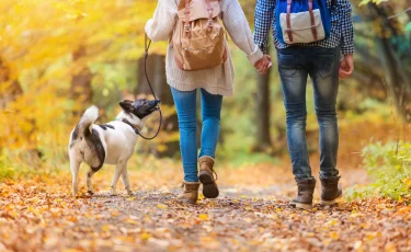 Как природа помогает раскрыть креативность и вдохновение