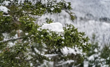 Қостанай облысына қар түсті