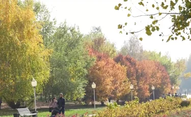 Чихают и плачут: как не спутать аллергию с вирусной инфекцией